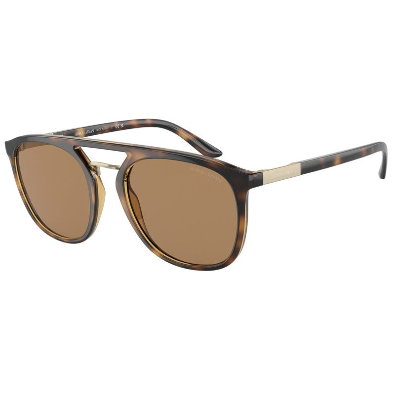 Giorgio Armani Sunglasses, Model: 0AR8118 Colour: 5026M4