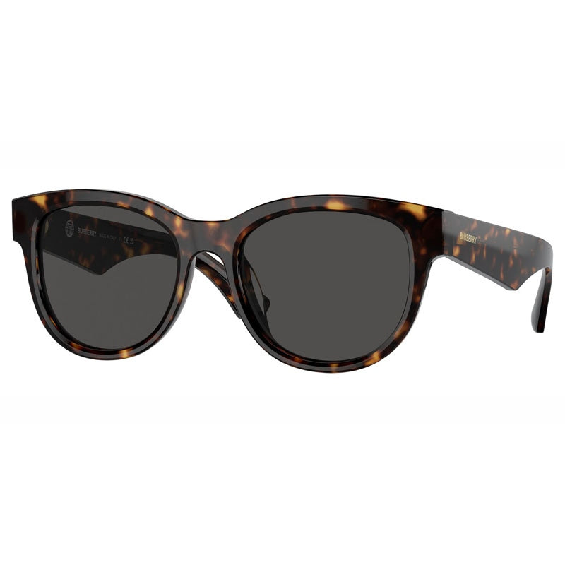 Burberry Sunglasses, Model: 0BE4432U Colour: 300287