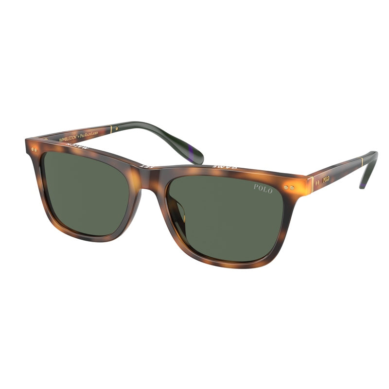 Polo Ralph Lauren Sunglasses, Model: 0PH4205U Colour: 608971