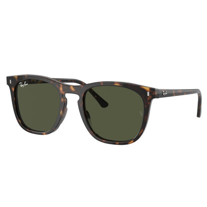 Ray Ban Sunglasses, Model: 0RB2210 Colour: 90231