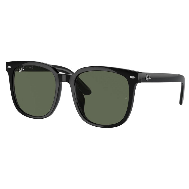 Ray Ban Sunglasses, Model: 0RB4401D Colour: 60171