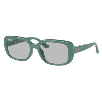 Ray Ban Sunglasses, Model: 0RB4421D Colour: 676287