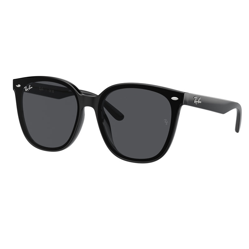 Ray Ban Sunglasses, Model: 0RB4423D Colour: 60187