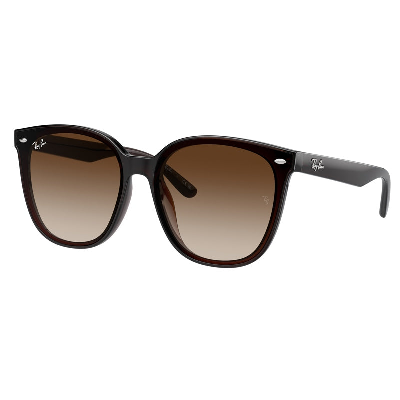 Ray Ban Sunglasses, Model: 0RB4423D Colour: 71413