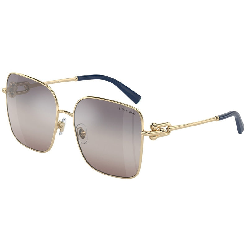 Tiffany Sunglasses, Model: 0TF3094 Colour: 6200MZ