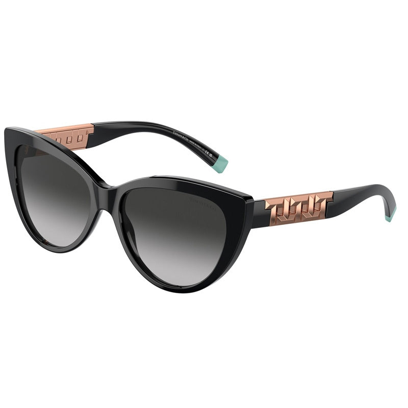 Tiffany Sunglasses, Model: 0TF4196 Colour: 80013C