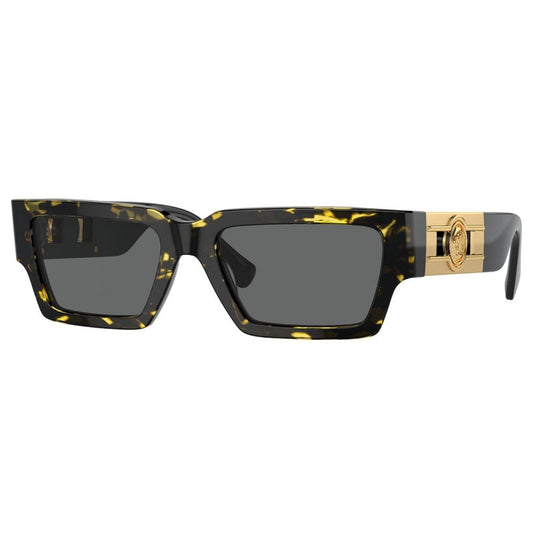 Versace Sunglasses, Model: 0VE4459 Colour: 542887