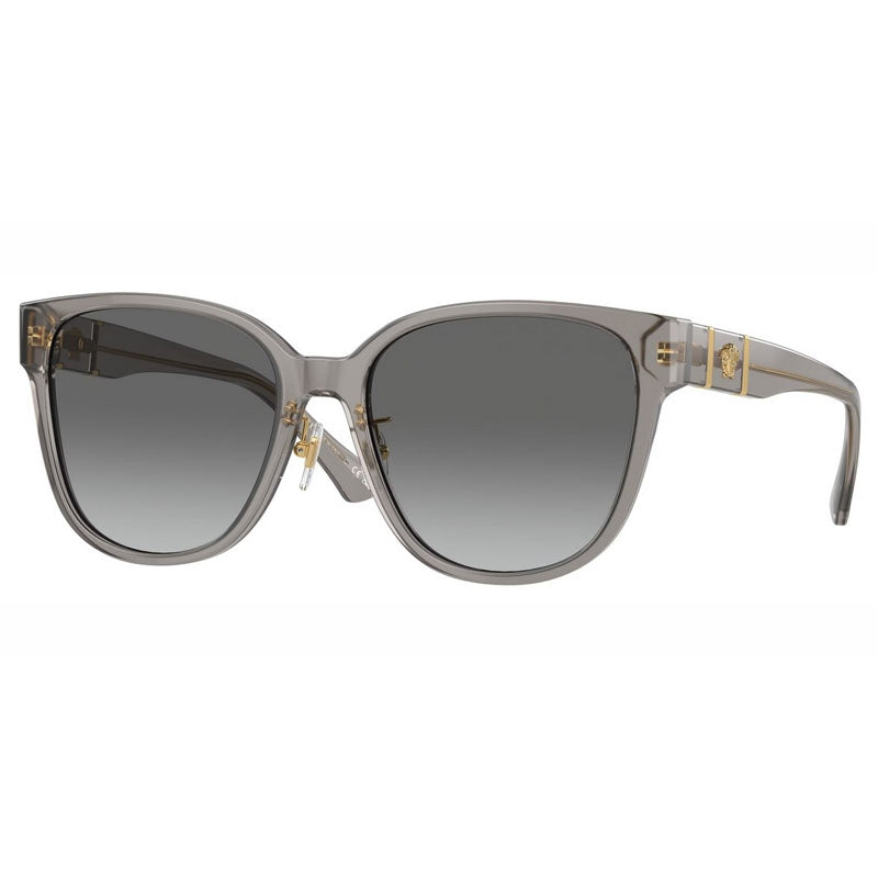 Versace Sunglasses, Model: 0VE4460D Colour: 540611