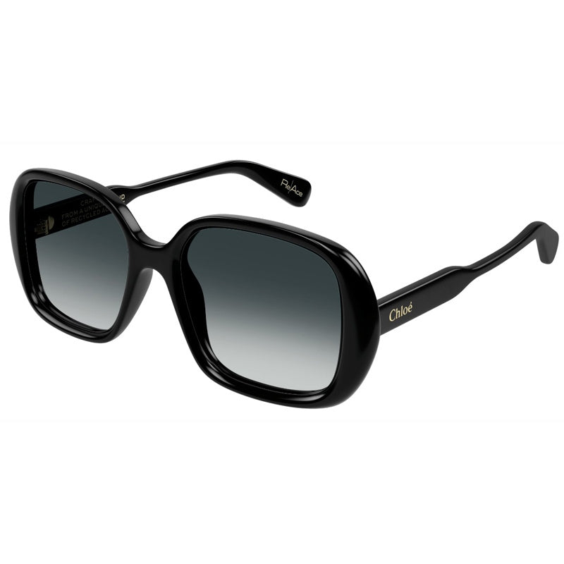 Chloe Sunglasses, Model: CH0222S Colour: 001