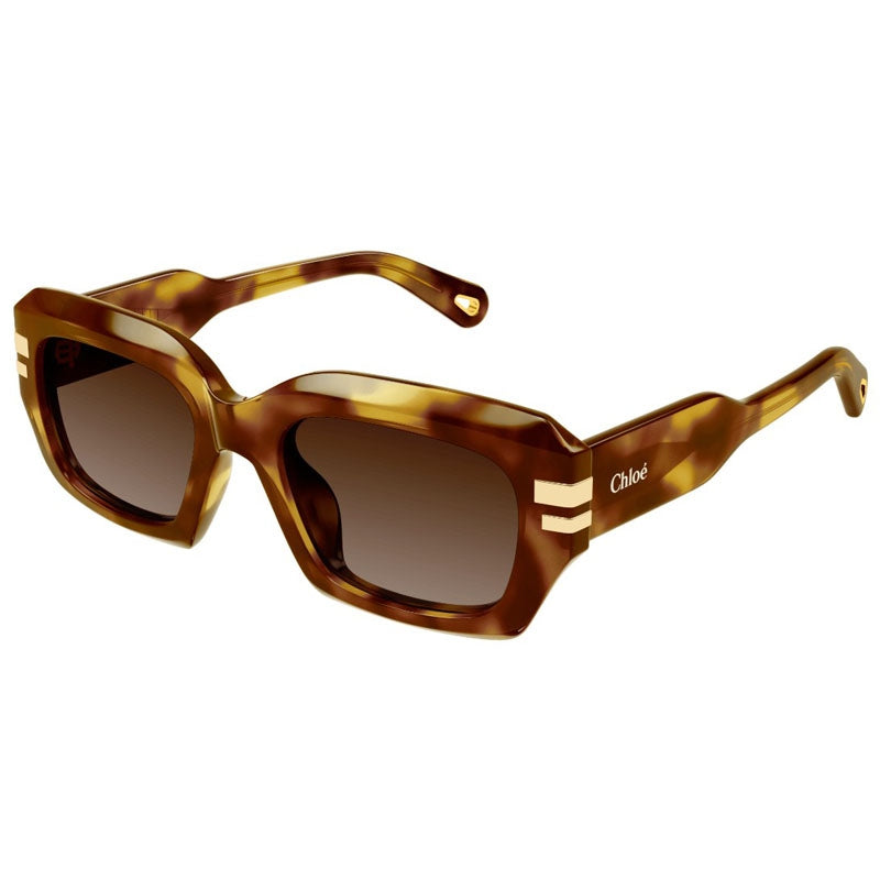 Chloe Sunglasses, Model: CH0256S Colour: 002