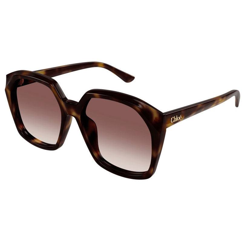 Chloe Sunglasses, Model: CH0280S Colour: 006