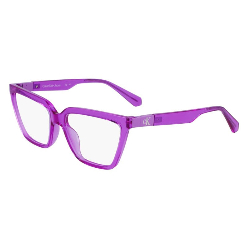 Calvin Klein Jeans Eyeglasses, Model: CKJ23648 Colour: 540