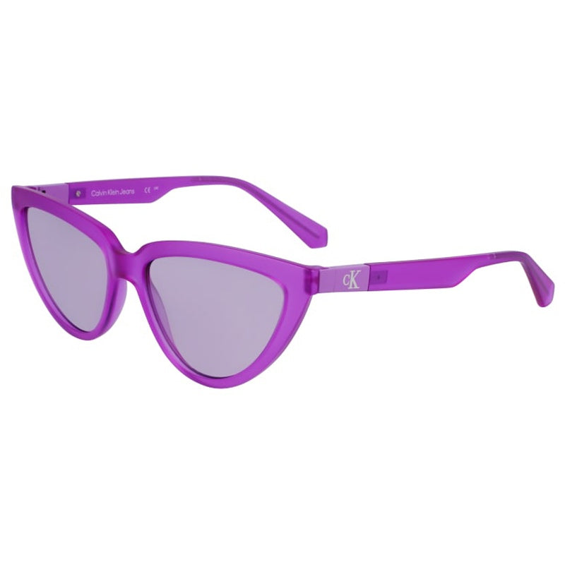 Calvin Klein Jeans Sunglasses, Model: CKJ23658S Colour: 540