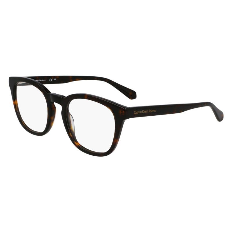 Calvin Klein Jeans Eyeglasses, Model: CKJ24636MagSet Colour: 210