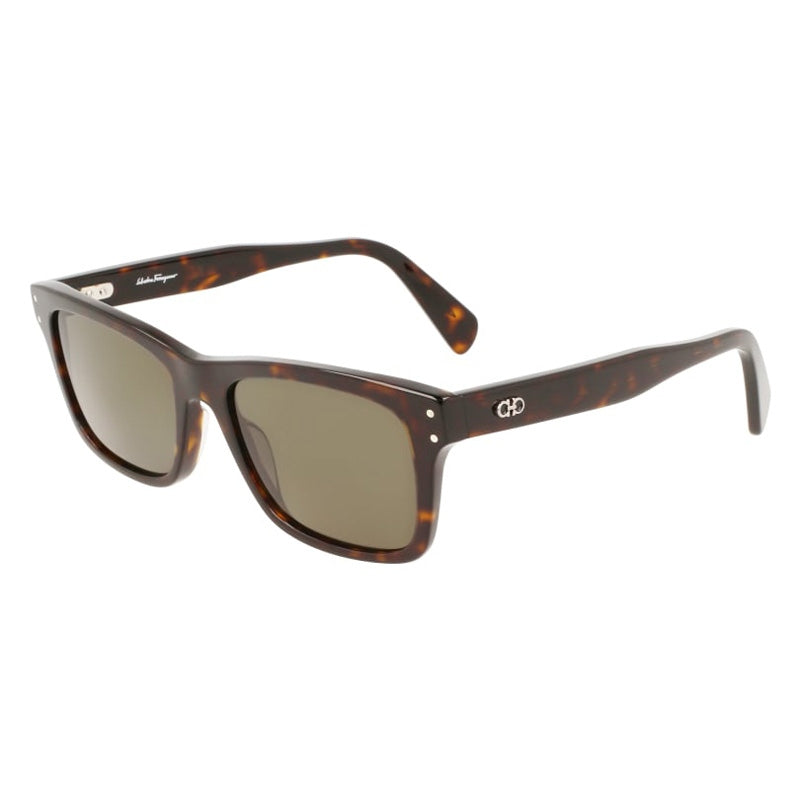 Salvatore Ferragamo Sunglasses, Model: SF1039S Colour: 240