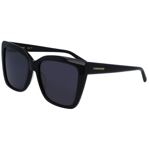 Salvatore Ferragamo Sunglasses, Model: SF1102S Colour: 001