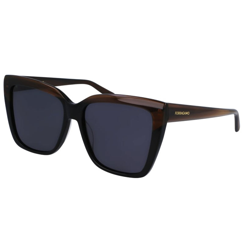 Salvatore Ferragamo Sunglasses, Model: SF1102S Colour: 217