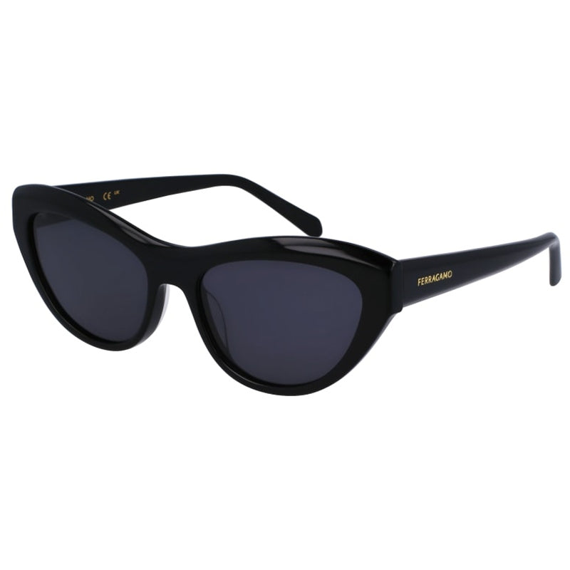 Salvatore Ferragamo Sunglasses, Model: SF1103S Colour: 001