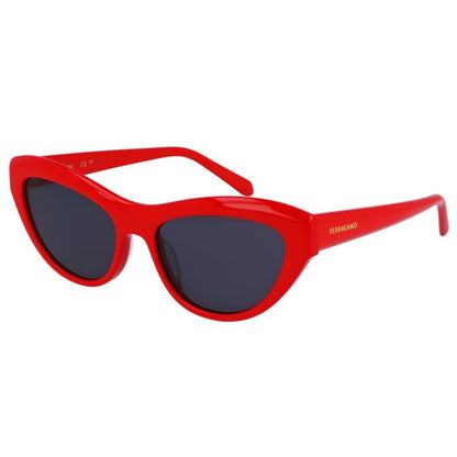 Salvatore Ferragamo Sunglasses, Model: SF1103S Colour: 600