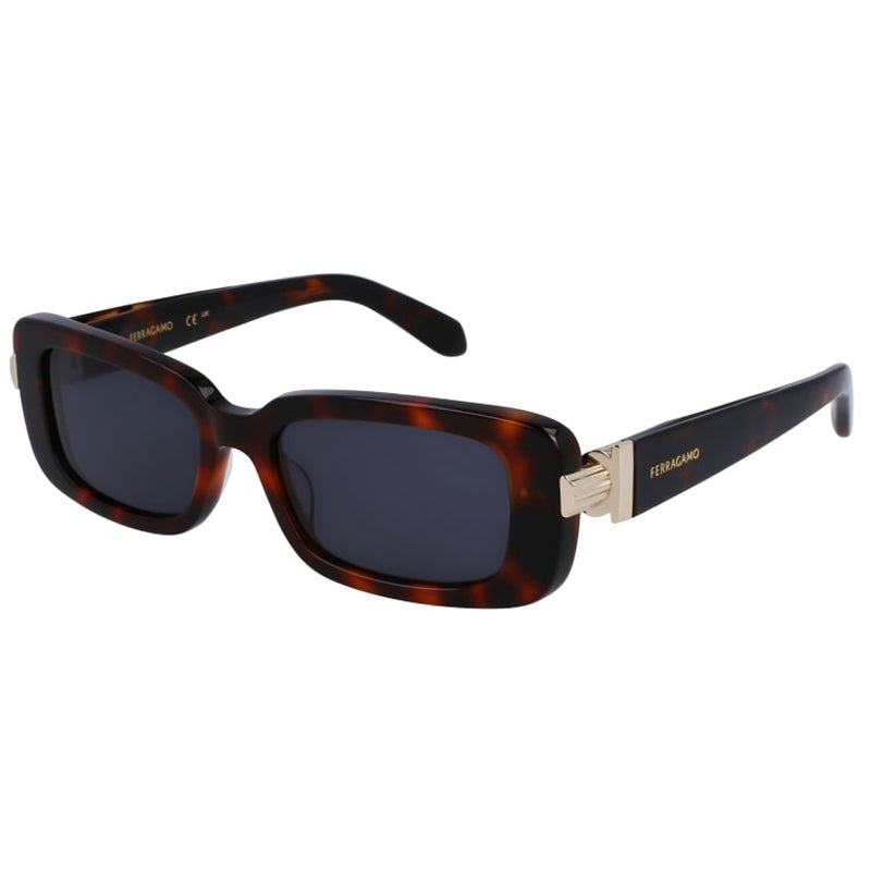 Salvatore Ferragamo Sunglasses, Model: SF1105S Colour: 240