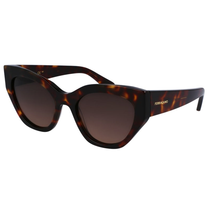 Salvatore Ferragamo Sunglasses, Model: SF1107S Colour: 242