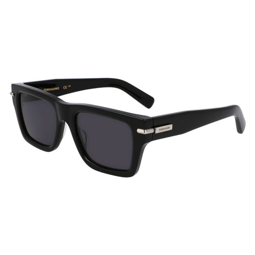 Salvatore Ferragamo Sunglasses, Model: SF2033S Colour: 001