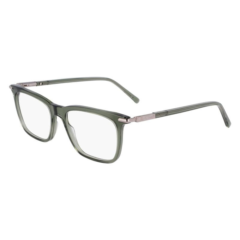 Salvatore Ferragamo Eyeglasses, Model: SF3007 Colour: 317