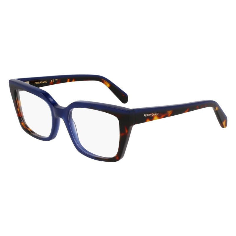 Salvatore Ferragamo Eyeglasses, Model: SF3010 Colour: 424