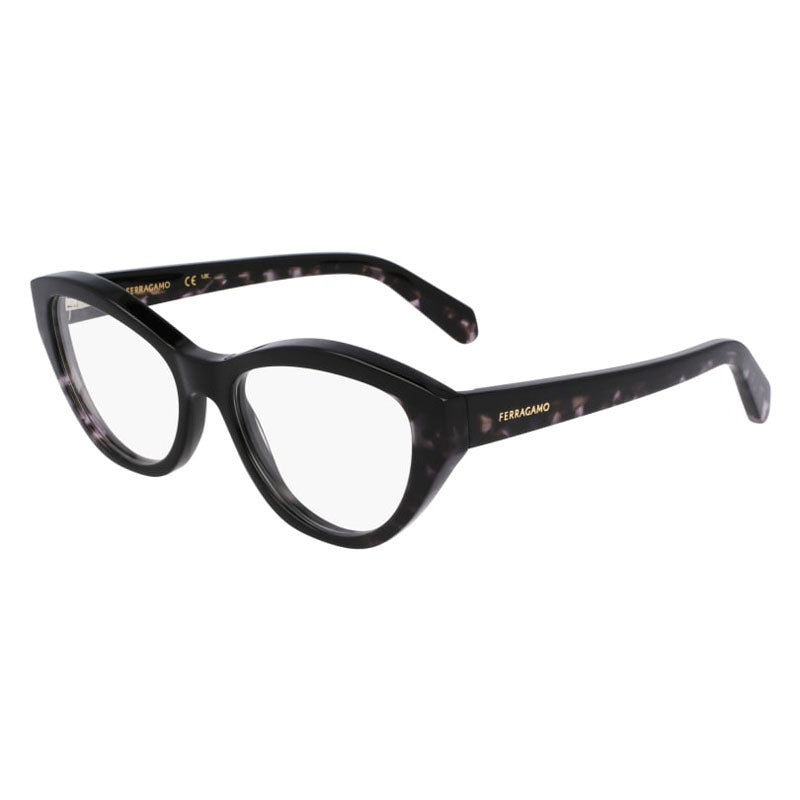 Salvatore Ferragamo Eyeglasses, Model: SF3011 Colour: 004