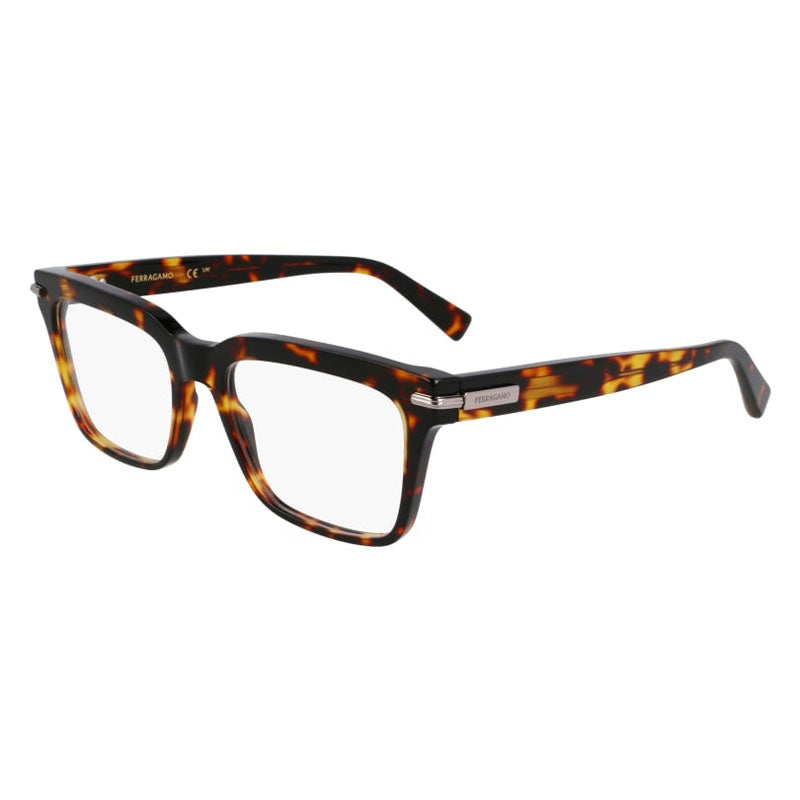 Salvatore Ferragamo Eyeglasses, Model: SF3014 Colour: 242