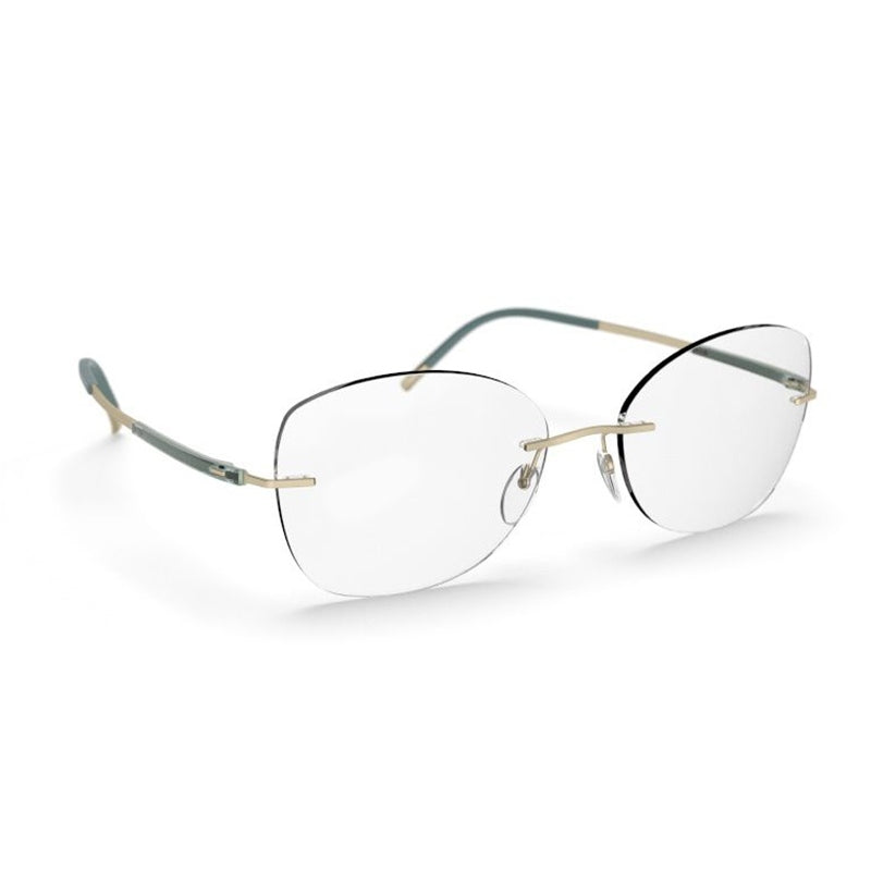 Silhouette Eyeglasses, Model: TitanDynamicsContour5540CT Colour: 8540