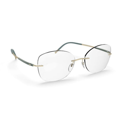 Silhouette Eyeglasses, Model: TitanDynamicsContour5540CT Colour: 8540