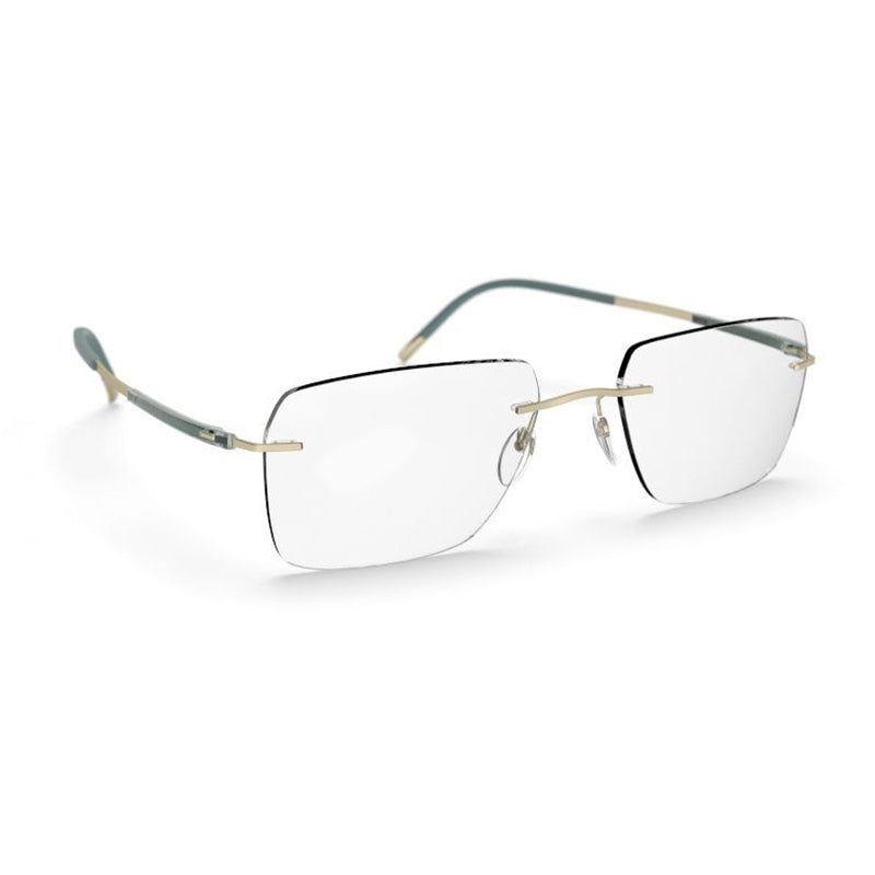 Silhouette Eyeglasses, Model: TitanDynamicsContour5540DN Colour: 8540