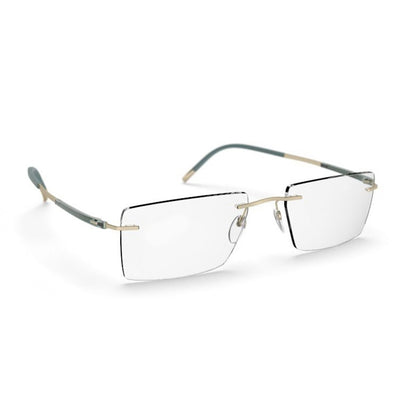 Silhouette Eyeglasses, Model: TitanDynamicsContour5540DR Colour: 8540