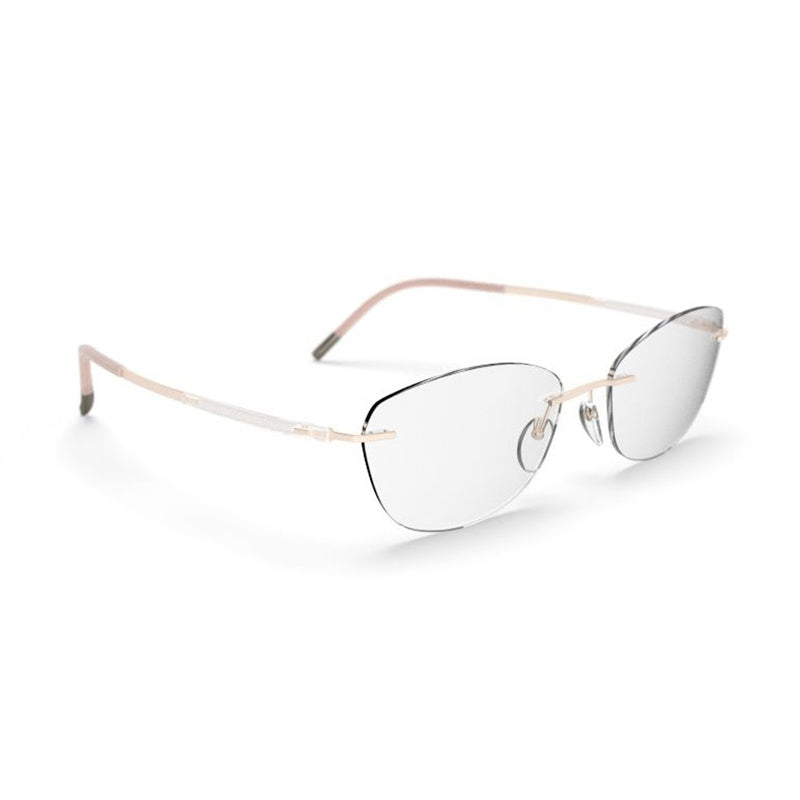 Silhouette Eyeglasses, Model: TitanDynamicsContour5540JN Colour: 8640